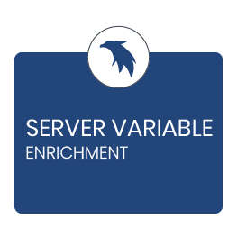 Server variable enrichment